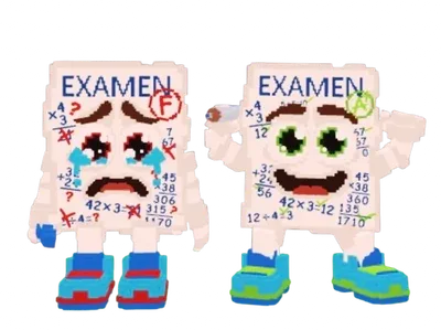 Examen Bros